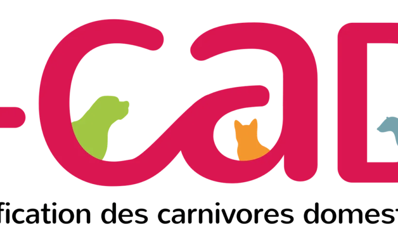 I-CAD une démarche indispensable pour l'identification des carnivores domestiques