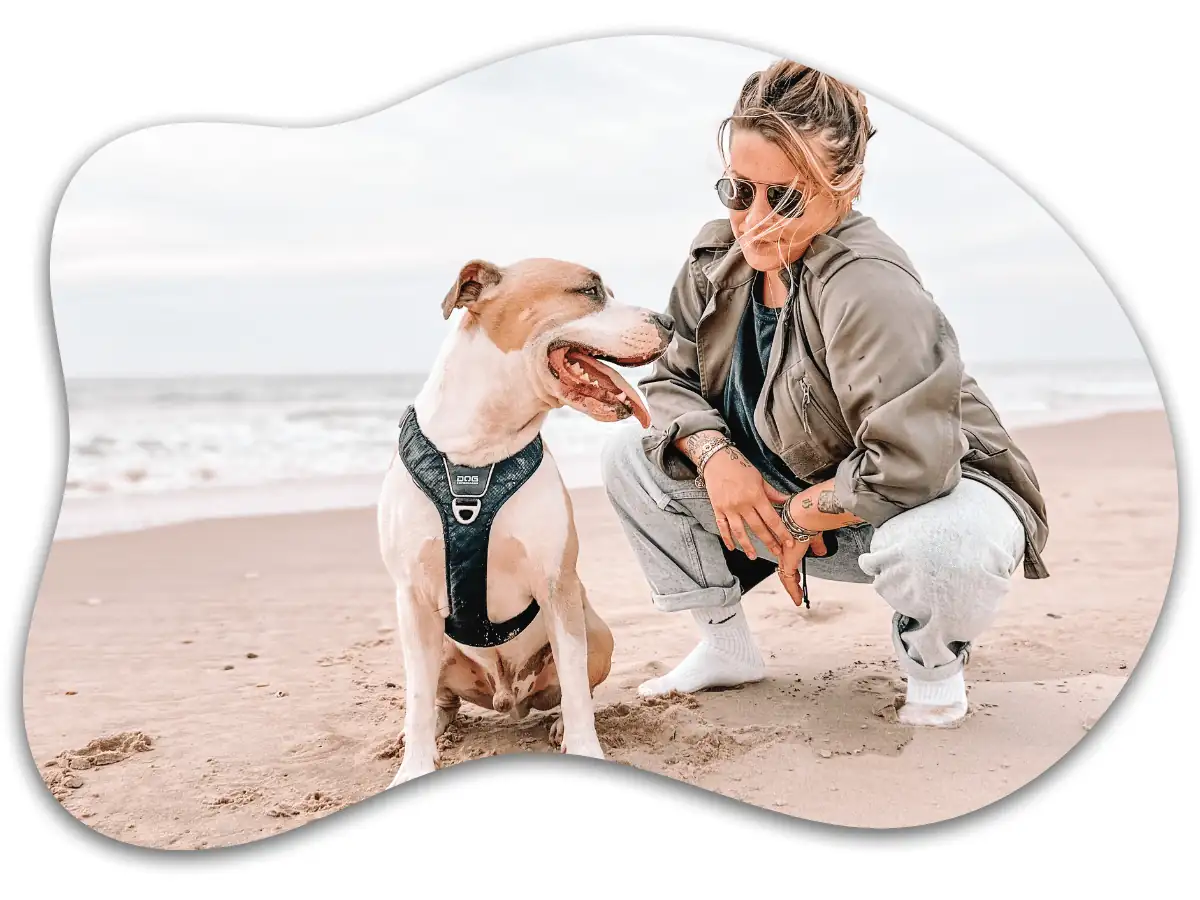Femme avec American Staffordshire Terrier heureux à la plage