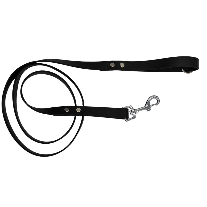 Laisse et collier biothane chien