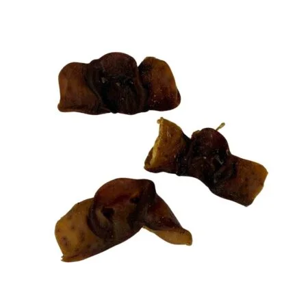 Nez de cochon séchés pour chien