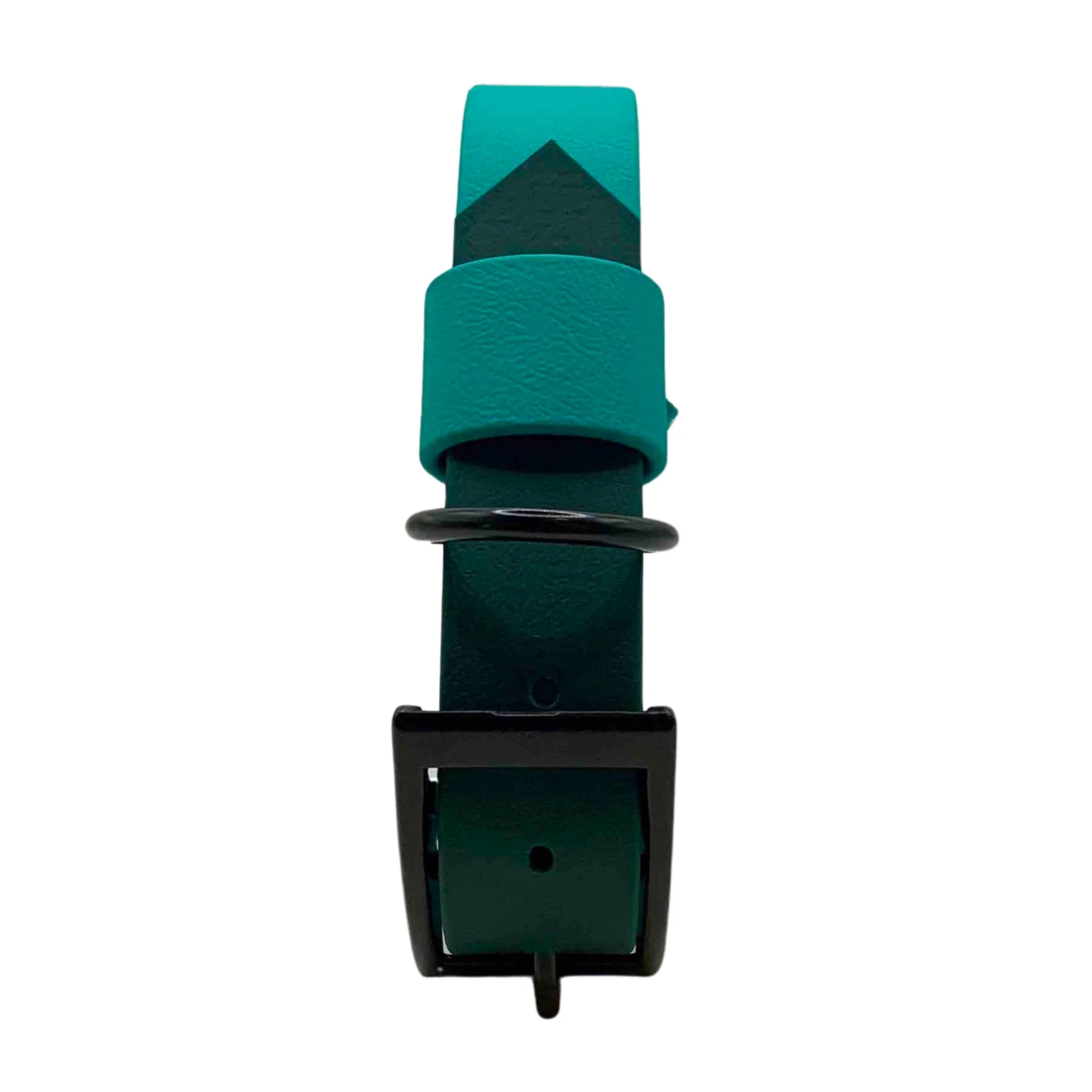 Laisse et collier biothane chien