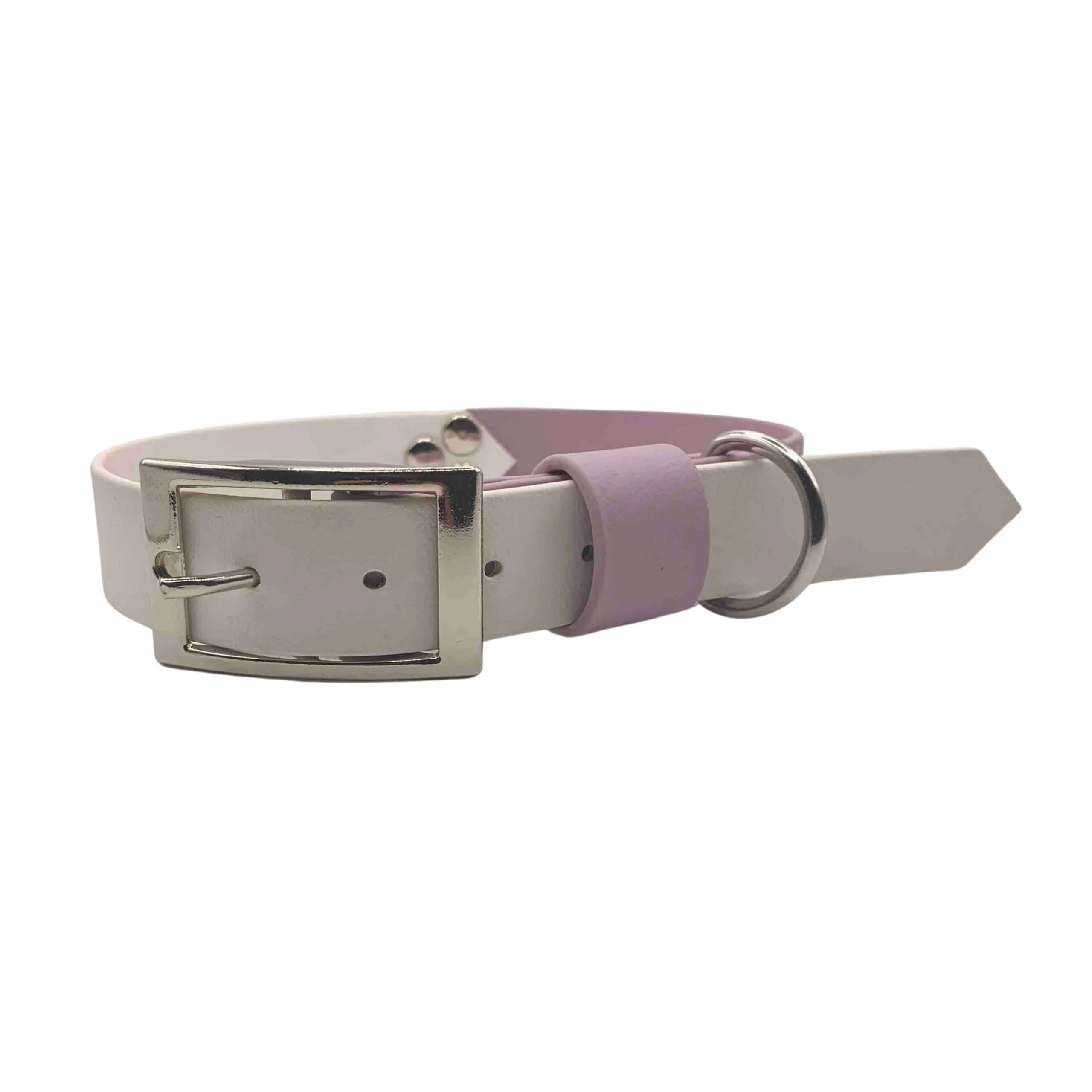 Laisse et collier biothane chien