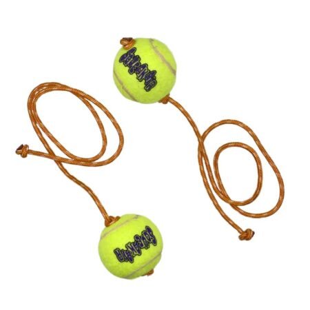 Jouets avec balles Kong pour chiots