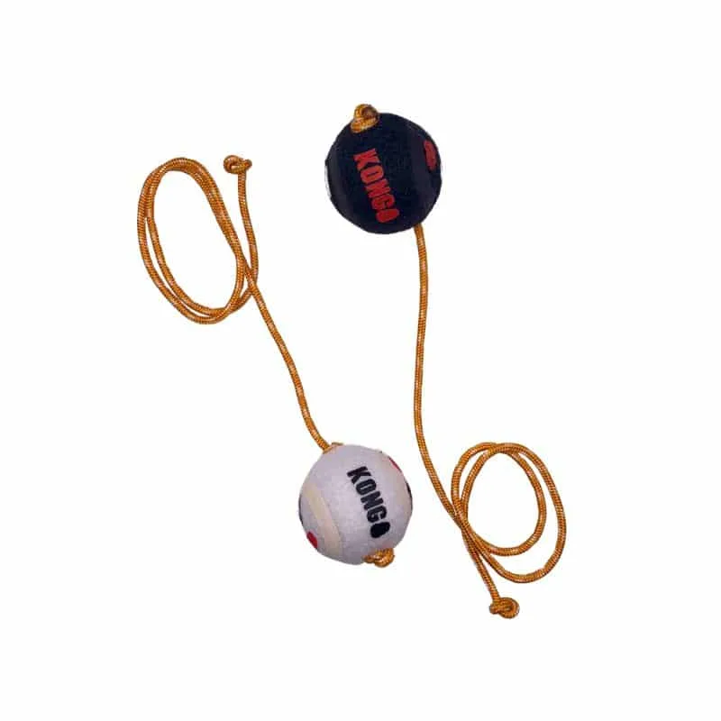 Jouets avec balles Kong pour petits chiens