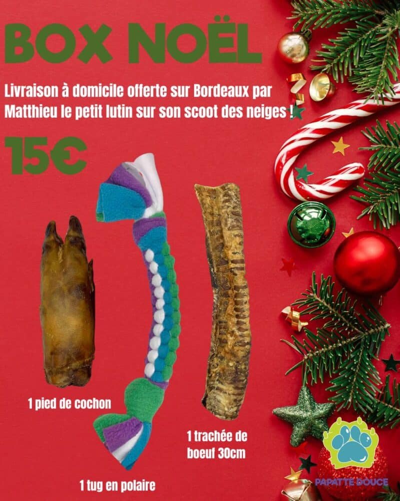 Box de noël pour chien jouet et mastication