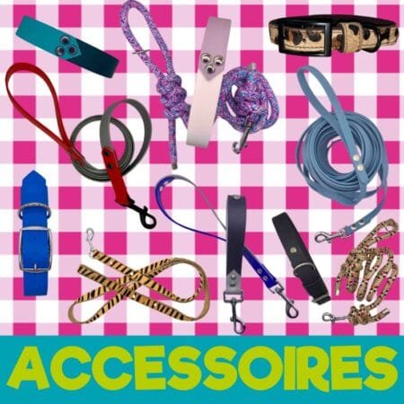 Accessoires chien