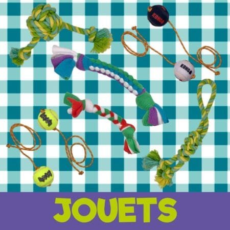 Jouets chien