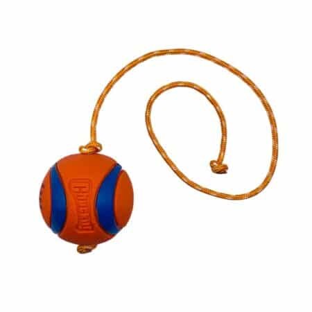 Jouets avec balles Chuckit pour chiots et petits chiens
