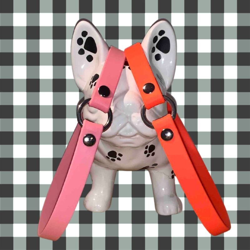 Collier porte médaille biothane pour chien