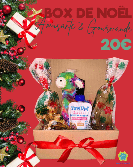 Box de noel pour chiens