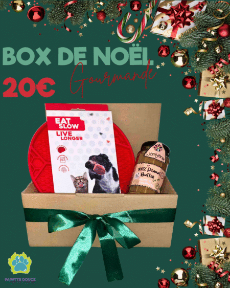 Box de noel pour chiens