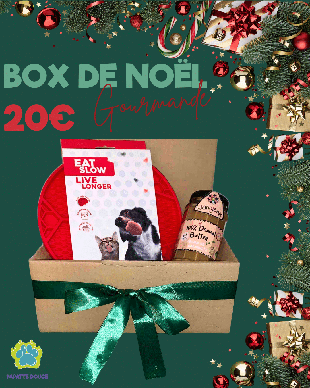 box-noel-chiens Box de noel pour chiens