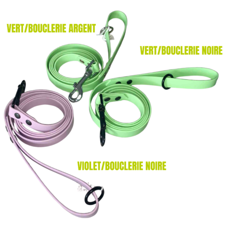 Laisse biothane chien