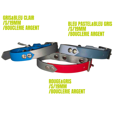 Collier biothane chien