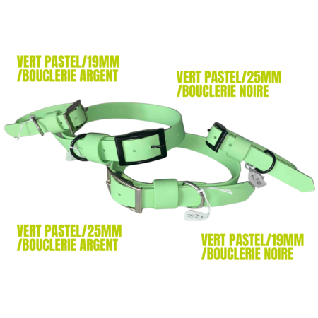 Collier biothane chien
