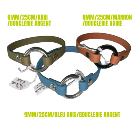 Collier porte-médaille biothane chien