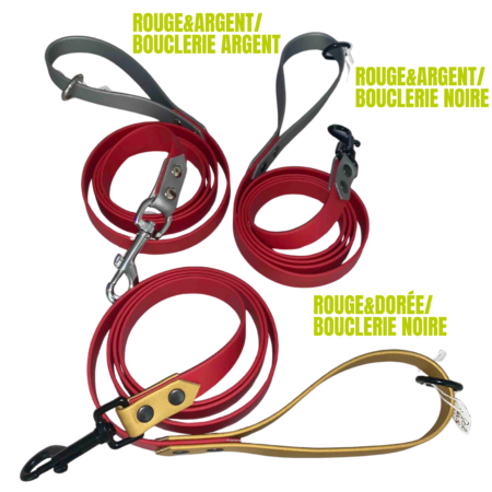 Laisse biothane chien