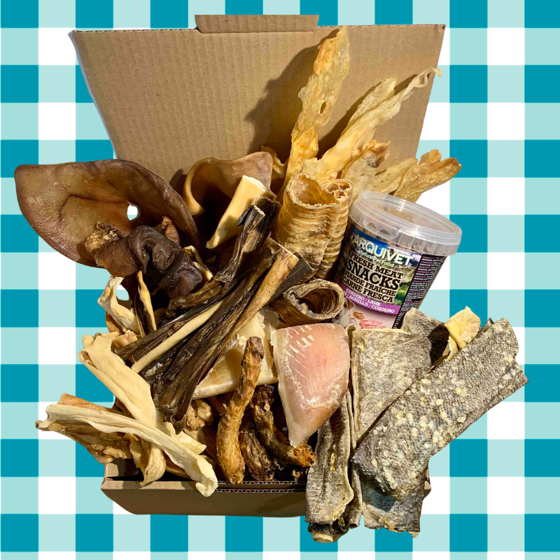 box-chiens Box pour chiens