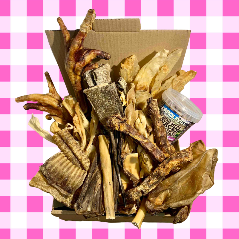 box-chiens Box pour chiens