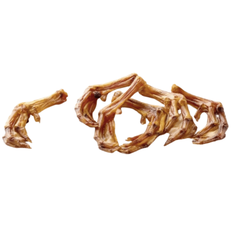 pattes-canard-sechees-pour-chien Pattes de canard séchées pour chien